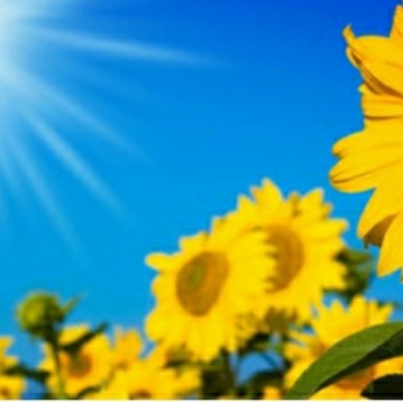 Meet your Posher, Audrey - Picture 1 of 1